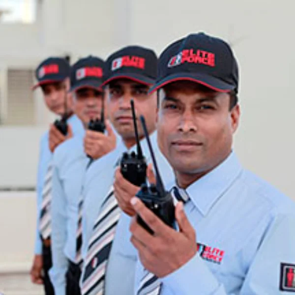 ABS Security Service